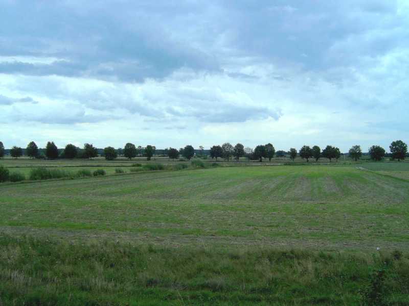 Polish countryside